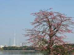 -海珠湖公园