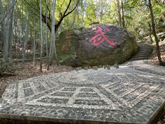 -桃花岛风景旅游区