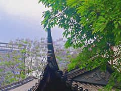 -龙潭水乡