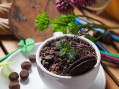 盆栽咖啡-Rabbit Cafe私房西餐甜点咖啡(栖霞路店)