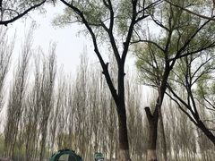 -东郊湿地公园