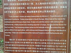 -盛世牡丹苑生态文化旅游区
