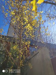 -IN STYLE·全国形象店