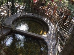 -天门沟九州驿站树上汤泉
