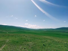 -郭莽湿地