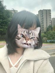 -IDESIGN艾迪赛 美学