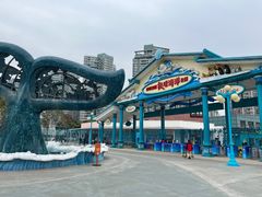 -海合安成都极地海洋公园