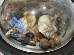 -大锅强·蒸海鲜青岛菜(吾悦广场店)