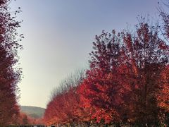 -南京枫彩漫城