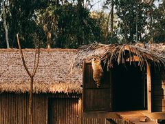 -云南野生动物园