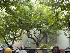 -复旦大学附属中山医院(西院区)