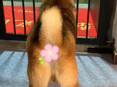 -博纳私人订制健身(中集美兰湖店)