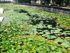 上海鲜花港-上海鲜花港