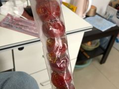 -和禄德冰糖葫芦