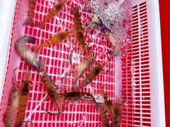 -上海龙吴水胜海发市场