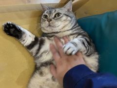 -佳雯宠物医院·皮肤科·内外科(春晓路分院)