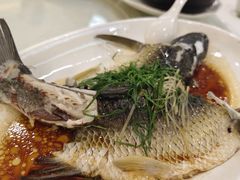 -金山记靓鸡专门店·中山菜