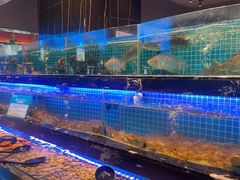 -喜庭海鲜自助(深圳万丰海岸城店)