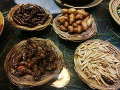 -昆虫窝子·特色云南菜(拓东路总店)