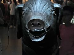 -广西壮族自治区博物馆