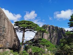 -黄山风景区