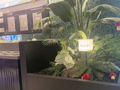 -芸山季·云南山珍菌火锅(南翔印象城MEGA店)