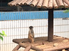 -辛玛王国游乐园