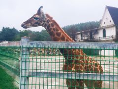 -贵州森林野生动物园
