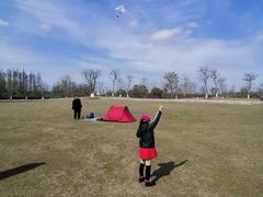 -上海长兴岛郊野公园