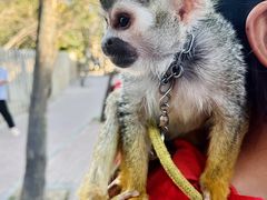 -水上乐园·欢乐世界