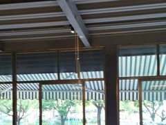 -金塔傣乡·云南民族特色菜·傣味手抓饭(金瓦路店)