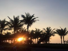 -白沙门生态公园