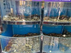 -蟹状元大闸蟹·年货·粽子(成都成华店)