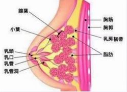 -天姿美容·美体科技SPA·艾姿美店