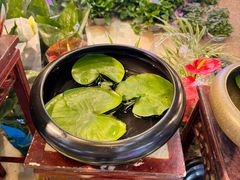 -双季花艺园艺市场(浦东店)