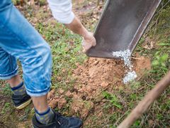 -彩虹桥宠物火化殡葬善终服务(金乐大厦店)