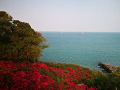 -涠洲岛火山国家地质公园