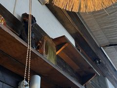 -慢丽江·云南野生菌土鸡锅(西山店)