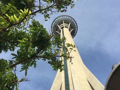 -澳门旅游塔360°旋转餐厅(南湾湖广场店)