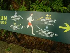 -南山植物园