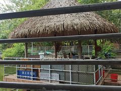 -广东茂名森林公园
