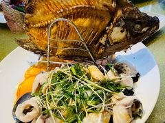 炸罗菲鱼-朱仔记食府(江南大道店)