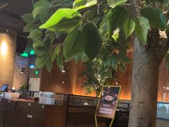 -同仁四季椰子鸡(无锡滨湖万象汇店)