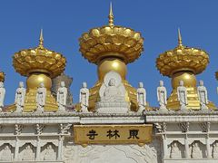-上海东林寺(金山区)