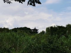 -梁鸿国家湿地公园