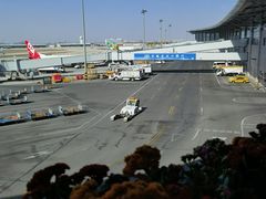 -肯德基(正定机场安检内店)
