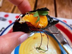 -TOMATITO(无限极荟店)