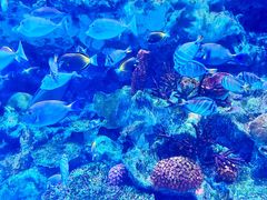 -海合安成都极地海洋公园