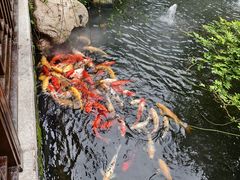 -杭嘉湖咬强羊肉面馆(永兴路总店)