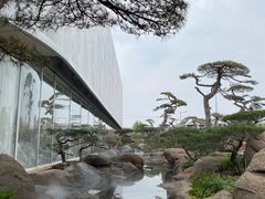 -罗红摄影艺术馆